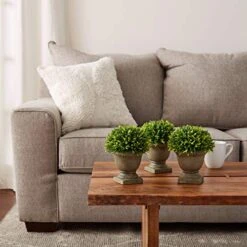 Pure Garden Artificial Podocarpus Grass Plant In Concrete Round Set Of 3, 7.5” Decorative Faux Indoor Ornamental Potted Topiary 4 Pure Garden Artificial Podocarpus Grass Plant In Concrete Round Set Of 3, 7.5” Decorative Faux Indoor Ornamental Potted Topiary -Green Leaf Store 51PAa8nFgNL