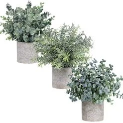 Winlyn Set Of 3 Mini Potted Artificial Eucalyptus Plants Plastic Fake Green Rosemary Plant For Home Decor Office Desk Shower Room Decoration 7 Winlyn Set Of 3 Mini Potted Artificial Eucalyptus Plants Plastic Fake Green Rosemary Plant For Home Decor Office Desk Shower Room Decoration -Green Leaf Store 51PGasSfzyL