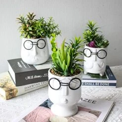 ALIWINER Artificial Succulents Plants With Ceramic Pot Decor Figurines Living Room Decor Home Decoration -Green Leaf Store 51Q6bPQZjyL