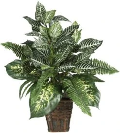 Nearly Natural 6527 Greens With Wicker Decorative Silk Plant, Green 30 In X 9 In X 7.5 In -Green Leaf Store 51QHQcUL8QL. AC