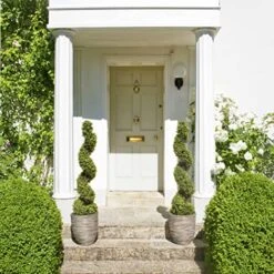 GreenBrokers Artificial Topiary Boxwood Spiral Trees 120cm/4ft (Set Of 2) -Green Leaf Store 51QvMLd2r8L