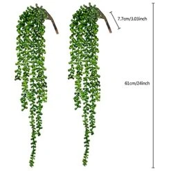 Green Leaf Store -Green Leaf Store 51R4UIBpyZS