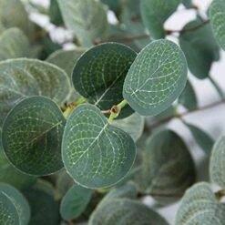 Miracliy 6 PCS Artificial Eucalyptus Leaves Greenery Stems Faux Silk Silver Dollar Eucalyptus Leaf Branches Green Bulk For Home Party Wedding Decoration -Green Leaf Store 51R79ypiiJL