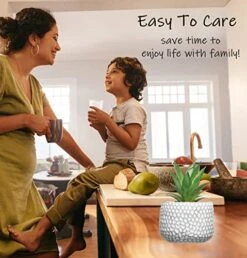 CADNLY Small Artificial Plants In Pots - Fake Plants For Bathroom Office Desk - Faux Succulents Plants Artificial Succulents Decor - Faux Plants Indoor Small Plants Shelf Decor Green Potted Plant -Green Leaf Store 51REZAu2euL