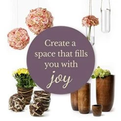 Serene Spaces Living Preserved Boxwood Ball With Small Pot – Boxwood In Planters, Preserved Plant For Boxwood Table Decor, Boxwood Centerpiece, Measures 5.5" Tall & 4" Diameter -Green Leaf Store 51Re2EVGk4L