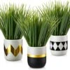 Artificial Plants Small Faux Plant Decor 3Pcs Fake Potted Plant Faux Plants In Pots Fake Grass Pot For Home Table Office Desk Room Bathroom House Indoor Decorative Gifts 12 Artificial Plants Small Faux Plant Decor 3Pcs Fake Potted Plant Faux Plants In Pots Fake Grass Pot For Home Table Office Desk Room Bathroom House Indoor Decorative Gifts -Green Leaf Store 51Ro548mc0L