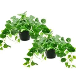 Tiita 2 Pack Fake Plants Artificial Scindapsus Aureus In Pots, Realistic Fake Greenery Potted Plants For Home Office Desk Window Sill Bathroom Bedroom Outdoor Indoor