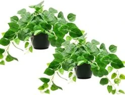 Tiita 2 Pack Fake Plants Artificial Scindapsus Aureus In Pots, Realistic Fake Greenery Potted Plants For Home Office Desk Window Sill Bathroom Bedroom Outdoor Indoor -Green Leaf Store 51SNbmMHX6L. AC