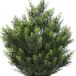 (Set Of 2) 24Inch/2 Foot Outdoor,Indoor Artificial Boxwood Plant Garden Torch Shaped Topiary Artificial Topiaries Bushes Potted Fake Plants Company Home Office Decor 9 (Set Of 2) 24Inch/2 Foot Outdoor,Indoor Artificial Boxwood Plant Garden Torch Shaped Topiary Artificial Topiaries Bushes Potted Fake Plants Company Home Office Decor -Green Leaf Store 51SazTUe6ZL