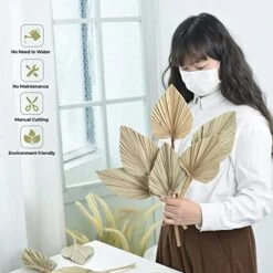 PYSAZI 12 Pcs Natural Dried Palm Leaves Boho Dried Palm Spears Leaves Bulk Small Dried Real Palm Fans Dry Palm Leaves With Stems Dried Leaf Boho Home Décor For Vase Wedding Office Home 43.5*12cm 8 PYSAZI 12 Pcs Natural Dried Palm Leaves Boho Dried Palm Spears Leaves Bulk Small Dried Real Palm Fans Dry Palm Leaves With Stems Dried Leaf Boho Home Décor For Vase Wedding Office Home 43.5*12cm -Green Leaf Store 51SoJo1kwpL