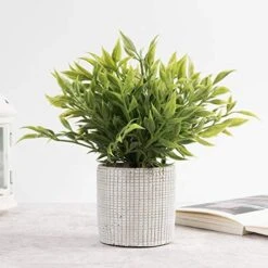 Cyrra Small Size Bathroom Living Room Laundry Room Guest Room Shop Table Shelf Decor Ideas Indoor Green Artificial Grass Shrub Plants 8 (High) X 4 (Pot Diameter Inch (Nandina S) 8 Cyrra Small Size Bathroom Living Room Laundry Room Guest Room Shop Table Shelf Decor Ideas Indoor Green Artificial Grass Shrub Plants 8 (High) X 4 (Pot Diameter Inch (Nandina S) -Green Leaf Store 51SppZZBVxL