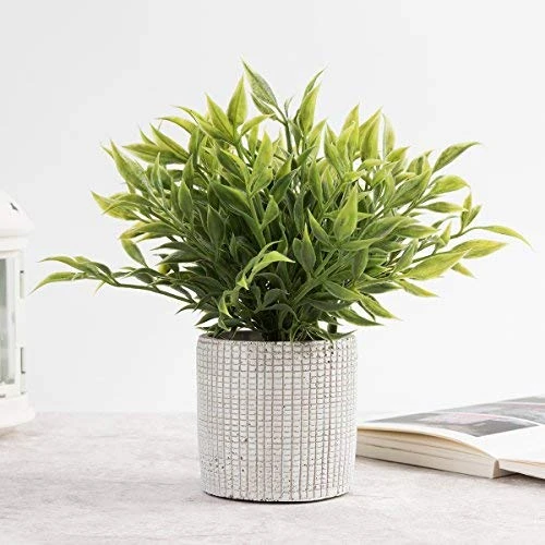 Cyrra Small Size Bathroom Living Room Laundry Room Guest Room Shop Table Shelf Decor Ideas Indoor Green Artificial Grass Shrub Plants 8 (High) X 4 (Pot Diameter Inch (Nandina S) 3 Cyrra Small Size Bathroom Living Room Laundry Room Guest Room Shop Table Shelf Decor Ideas Indoor Green Artificial Grass Shrub Plants 8 (High) X 4 (Pot Diameter Inch (Nandina S) - Image 3