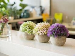 Opps Mini Artificial Plants Plastic Fake Green Colorful Flower Topiary Shrubs With Gray Pot For Home Décor – Set Of 3 12 Opps Mini Artificial Plants Plastic Fake Green Colorful Flower Topiary Shrubs With Gray Pot For Home Décor – Set Of 3 -Green Leaf Store 51T7dN3evzL