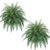 40" Artificial River Fern Hanging Plant Boston Bush Tree Arrangement, With No Pot, (Pack Of 2) 9 40" Artificial River Fern Hanging Plant Boston Bush Tree Arrangement, With No Pot, (Pack Of 2) -Green Leaf Store 51TiF70SUOL
