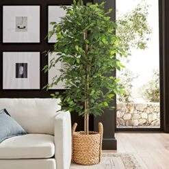 NeuType Artificial Ficus Tree 6FT, 2Packs Fake Ficus Tree Plant With Warm White LED String Lights, Tall Fake Plant Potted Faux Tree Indoor Home Office Decor Floor Plants For Living Room (71 In) -Green Leaf Store 51TttvOkncL