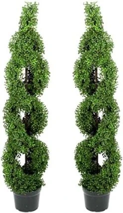 Admired By Nature 2 X 5' Artificial Boxwood Leave Double Spiral Topiary Plant Tree In Plastic Pot, Green, Twin Pack, 2 Count -Green Leaf Store 51UEH09L6L. AC