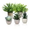 Memeaty Set Of 5 Small Fake Plants Artificial Rosemary Peppermint Plants Fake Succulents Plants In Pot For Home Office Decoration,Artficial Greenery Faux Plants Indoor For Table Shelf Decor -Green Leaf Store 51US0aGHgsL