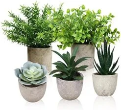 Memeaty Set Of 5 Small Fake Plants Artificial Rosemary Peppermint Plants Fake Succulents Plants In Pot For Home Office Decoration,Artficial Greenery Faux Plants Indoor For Table Shelf Decor 11 Memeaty Set Of 5 Small Fake Plants Artificial Rosemary Peppermint Plants Fake Succulents Plants In Pot For Home Office Decoration,Artficial Greenery Faux Plants Indoor For Table Shelf Decor -Green Leaf Store 51US0aGHgsL. AC