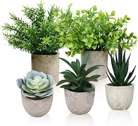 Memeaty Set Of 5 Small Fake Plants Artificial Rosemary Peppermint Plants Fake Succulents Plants In Pot For Home Office Decoration,Artficial Greenery Faux Plants Indoor For Table Shelf Decor 6 Memeaty Set Of 5 Small Fake Plants Artificial Rosemary Peppermint Plants Fake Succulents Plants In Pot For Home Office Decoration,Artficial Greenery Faux Plants Indoor For Table Shelf Decor - Image 6
