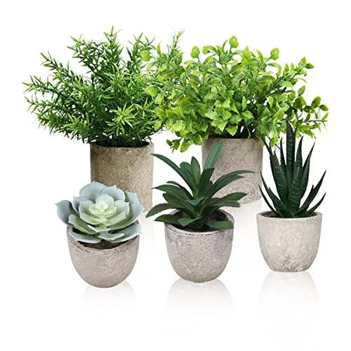 Memeaty Set Of 5 Small Fake Plants Artificial Rosemary Peppermint Plants Fake Succulents Plants In Pot For Home Office Decoration,Artficial Greenery Faux Plants Indoor For Table Shelf Decor 1 Memeaty Set Of 5 Small Fake Plants Artificial Rosemary Peppermint Plants Fake Succulents Plants In Pot For Home Office Decoration,Artficial Greenery Faux Plants Indoor For Table Shelf Decor