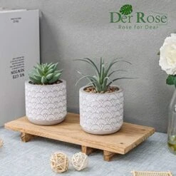 Der Rose 2 Packs Fake Plants Artificial Succulents Plants In Pots For Home Boho Decor Indoor 8 Der Rose 2 Packs Fake Plants Artificial Succulents Plants In Pots For Home Boho Decor Indoor -Green Leaf Store 51UT5nPmvsL