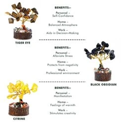 Handcrafted Healing Crystal Trees (Set Of 12), Bonsai Tree For Positive Energy & Chakra Balance, Feng Shui Tree Of Life, Perfect Home/Desk Decor, Reiki Good Luck Crystal Gifts By KarmaPledge -Green Leaf Store 51UdbS5Y0nL