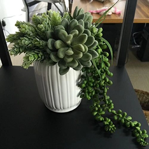 YABINA 6 Capensia Bush, Artificial Plant (B) 1 YABINA 6 Capensia Bush, Artificial Plant (B)