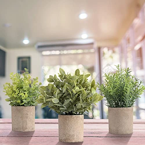 HomEdge Artificial Mini Potted Eucalyptus, 3 Packs Artificial Plastic Plant Greenery With Pot For Home, Office Desk Decoration 4 HomEdge Artificial Mini Potted Eucalyptus, 3 Packs Artificial Plastic Plant Greenery With Pot For Home, Office Desk Decoration - Image 4