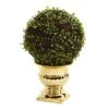 Nearly Natural 1 Mohlenbechia Ball Topiary In Gold Urn, 16 -Green Leaf Store 51V4ZX7MgtL