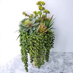Supla 4 Pcs Artificial Hanging Succulents Faux Burro's Tail Picks Trailing String Of Pearls Succulent Greenery Sprays 13.4" L For Basket Planter Centerpiece Floral Arrangement Indoor Outdoor Decor -Green Leaf Store 51V5GQzneSL