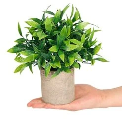 CEWOR Artificial Potted Plants, Mini Fake Plant Greenery Decoration For Barhroom Shelf Home Office Desk Table Indoor Decor, 4 Pack 10 CEWOR Artificial Potted Plants, Mini Fake Plant Greenery Decoration For Barhroom Shelf Home Office Desk Table Indoor Decor, 4 Pack -Green Leaf Store 51VBLfpXPdL