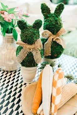 Bunny Topiary, Green Preserved Moss,16 1/2" X 6" Dia -Green Leaf Store 51VZHHTCbhL