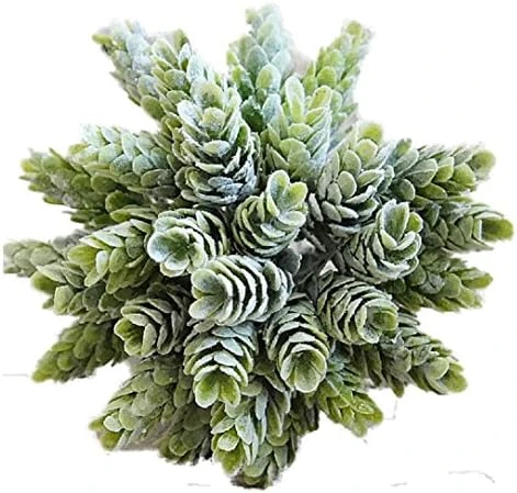 YABINA 6 Capensia Bush, Artificial Plant (B) 5 YABINA 6 Capensia Bush, Artificial Plant (B) - Image 5