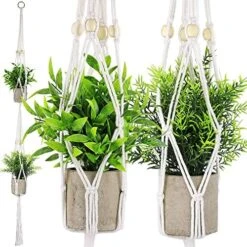 Supecaty 2 Pack Artificial Hanging Plants With Plant Hangers, Fake Hanging Plants Small Potted Green Grass Eucalyptus Faux Topiary Shrubs For Home Office Bathroom Living Room Bedroom Aesthetic Decor -Green Leaf Store 51WGDvan6iL. AC