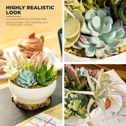 10 In 1- Fake Plants In Pot -Artificial Succulents Plant For Desk Decor -Small Faux Plants Indoor Modern Farmhouse Plants Artificial Decor -Potted Small Plants Decor For Bedroom Bathroom Office Shelf -Green Leaf Store 51WSeUnN0UL