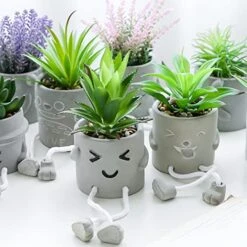 Zerzsy 3pcs Creative Artificial Succulents With Gray Flower Pots, Mini Potted Succulents For Home Decor And Gift Choice. 19 Zerzsy 3pcs Creative Artificial Succulents With Gray Flower Pots, Mini Potted Succulents For Home Decor And Gift Choice. -Green Leaf Store 51WxnBMnAiL