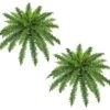 Two 40" Spread Artificial Boston Fern 48 Leaves Silk Hanging Bush Tree Plant 17 Two 40" Spread Artificial Boston Fern 48 Leaves Silk Hanging Bush Tree Plant -Green Leaf Store 51XCQZEcduL