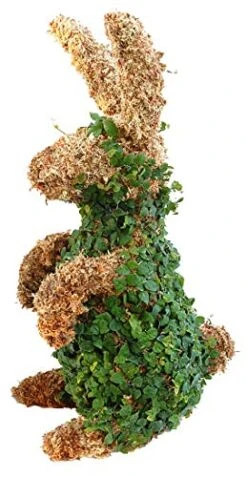 Rabbit Topiary Form 17 Inches High -Green Leaf Store 51XUDgcyzNL