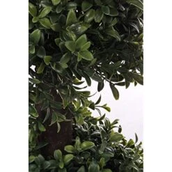 Overstock Regency 38" Boxwood Ball Cone Topiary -Green Leaf Store 51Xbxkz4fqL