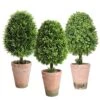 （3 Pack） Faux Small Topiary Tree In Stone Basin 13inchs Height Artificial Boxwood Tree Grass Potted Faux Plant For Home Office Table Desk Shelves Decor -Green Leaf Store 51XclB84qyL
