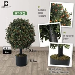 Fencer Wire Artificial Boxwood Topiary Ball Tree Set Of 2, Artificial UV Resistant Bushes, Faux Potted Tree, Plant In Pot W/Dried Moss, Fake Shrubs For Indoor, Front Porch, Outdoor, W/Orange Flower 8 Fencer Wire Artificial Boxwood Topiary Ball Tree Set Of 2, Artificial UV Resistant Bushes, Faux Potted Tree, Plant In Pot W/Dried Moss, Fake Shrubs For Indoor, Front Porch, Outdoor, W/Orange Flower -Green Leaf Store 51YBM4ajK8L 1