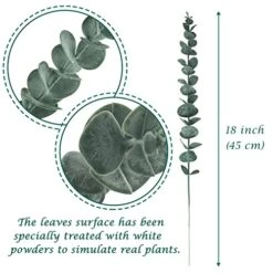 Tiyard 12pcs Eucalyptus Stems 18" Tall Artificial Eucalyptus Leaves Greenery Decor Faux Eucalyptus Real Touch For Wedding Bouquet Centerpiece Home Decor -Green Leaf Store 51YD0BGrjdL