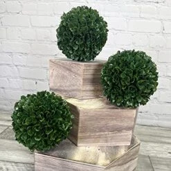 Admired By Nature Faux Preserved Artificial Boxwood Ball Plant, Small-3pcs, 3 Count -Green Leaf Store 51YfqDAf0FL