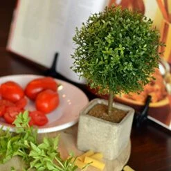 WHW Whole House Worlds Realistic Faux Potted Boxwood Ball Topiary Tree, Gray Stone Finished Planter, 10 1/4 Inches Tall -Green Leaf Store 51YfxlZ0ZnL