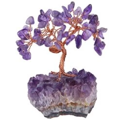 Mookaitedecor Amethyst Crystal Tree, Amethyst Cluster Crystals Base Bonsai Money Tree For Wealth And Luck -Green Leaf Store 51YjrtbacIL