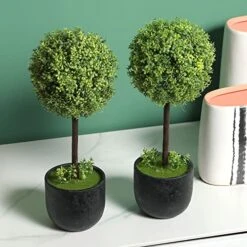 MyGift 13 Inch Realistic Artificial Boxwood Topiary Trees, Faux Tabletop Decorative Plants With Black Pots, Set Of 2 9 MyGift 13 Inch Realistic Artificial Boxwood Topiary Trees, Faux Tabletop Decorative Plants With Black Pots, Set Of 2 -Green Leaf Store 51YtOiBtlHL