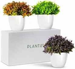 Plants+ Artificial Fake Faux Indoor House Desk Office For Decoration - Plastic Lifelike Flower With White Pot, Outdoor Decor Topiary Greenery, Set Of 1, Lavender -Green Leaf Store 51ZC4a2YKL. AC