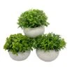 Artificial Mini Potted Plant Decor (Set Of 3) | Green Leaves Set | Fake Plants | Office Decor, Bathroom Decor, Farmhouse Decor, Kitchen Decor | Faux Topiary Decore | Home Decor Clearance 19 Artificial Mini Potted Plant Decor (Set Of 3) | Green Leaves Set | Fake Plants | Office Decor, Bathroom Decor, Farmhouse Decor, Kitchen Decor | Faux Topiary Decore | Home Decor Clearance -Green Leaf Store 51ZRcDdwNtL