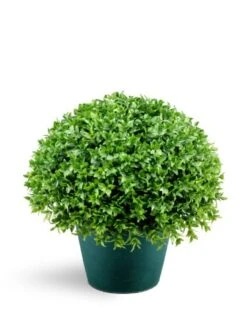 National Tree Company Artificial Shrub | Includes Pot Base | Globe Japanese Holly Bush - 13 Inch