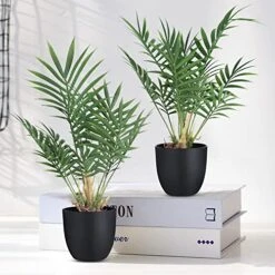 WOODWORD 2 Pack Fake Plant With Pot 16" Desk Plant Artificial Potted Faux Plants For Office Desk Shelf Home Farmhouse Decor (Bamboo Leaf) 9 WOODWORD 2 Pack Fake Plant With Pot 16" Desk Plant Artificial Potted Faux Plants For Office Desk Shelf Home Farmhouse Decor (Bamboo Leaf) -Green Leaf Store 51Zt17kLyXL